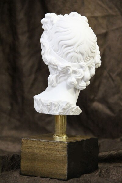 Head of Apollo Belvedere on Base Bust Sculpture Back View Artwork